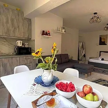 Hotel Traveller's Gjirokastër